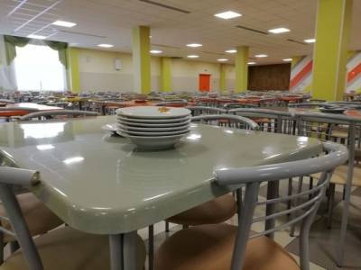 «Директор скрывала»: количество отравившихся школьной едой детей из Красноярска выросло до 131