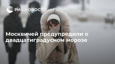 Москвичей предупредили о двадцатиградусном морозе
