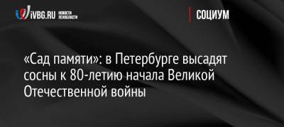 «Сад памяти»: в Петербурге высадят сосны к 80-летию начала Великой Отечественной войны - ivbg.ru - Ленинградская обл. - Санкт-Петербург