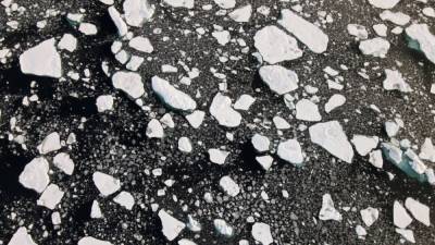 Китай построит "Полярный шелковый путь" и займется освоением Антарктиды