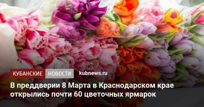 В преддверии 8 Марта в Краснодарском крае открылись почти 60 цветочных ярмарок