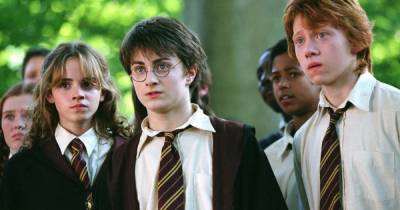 Warner Bros. анонсировали вероятность выхода продолжения саги о Гарри Поттере