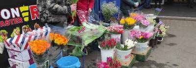 В Киеве к 8-му марта тюльпаны продают за 25 гривен, а нарциссы – по 150
