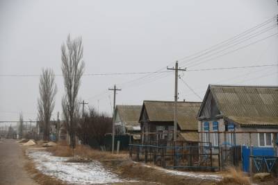 В четырех поселках Волгоградской области объявлен карантин по бешенству