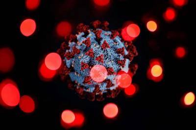 Ученые обнаружили вещества, блокирующие коронавирус
