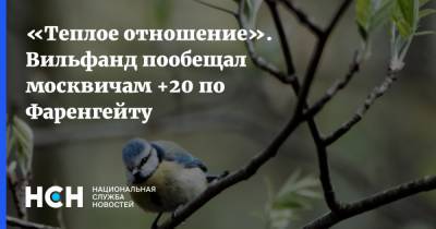 «Теплое отношение». Вильфанд пообещал москвичам +20 по Фаренгейту