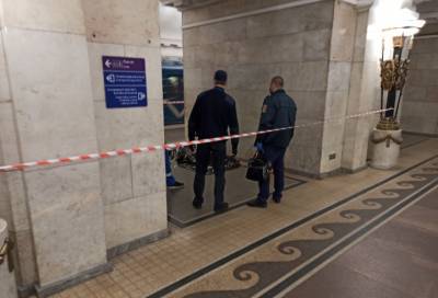 На станции метро «Пушкинская» под колесами поезда погиб 30-летний петербуржец