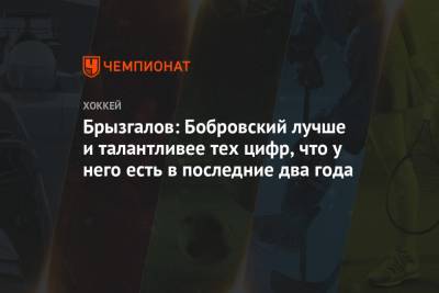 Брызгалов: Бобровский лучше и талантливее тех цифр, что у него есть в последние два года