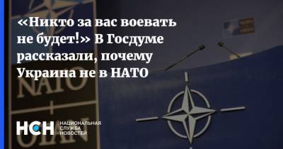 «Никто за вас воевать не будет!» В Госдуме рассказали, почему Украина не в НАТО