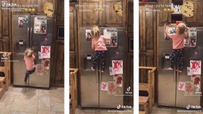 Ребенок ловко залез на холодильник за спрятанными сладостями: смешное видео