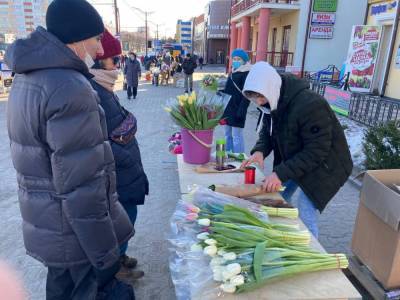 Тюльпаны, горная роза и примула: где в Гродно купить букет к 8 Марта и сколько стоят цветы?
