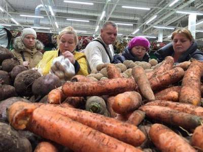Выяснилось, сколько еды выбрасывают жители Украины ежегодно