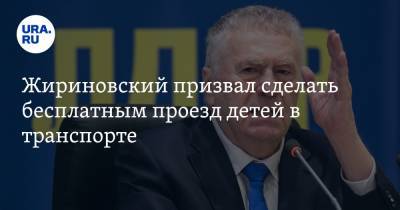 Жириновский призвал сделать бесплатным проезд детей в транспорте