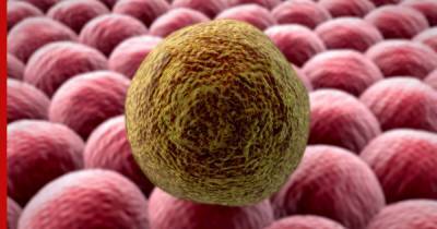 Ученые распознали самые опасные мутационные раковые клетки