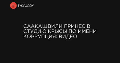 Саакашвили принес в студию крысы по имени Коррупция: видео