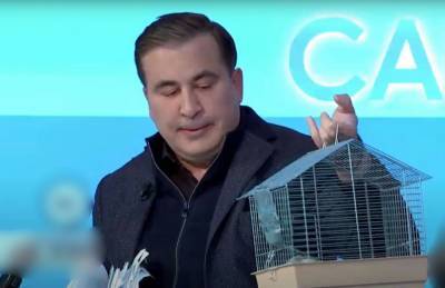 Саакашвили принёс в эфир крысу по фамилии Коррупция