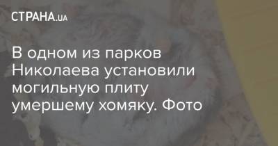 В одном из парков Николаева установили могильную плиту умершему хомяку. Фото