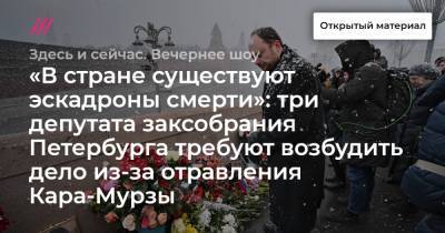 «В стране существуют эскадроны смерти»: три депутата заксобрания Петербурга требуют возбудить дело из-за отравления Кара-Мурзы