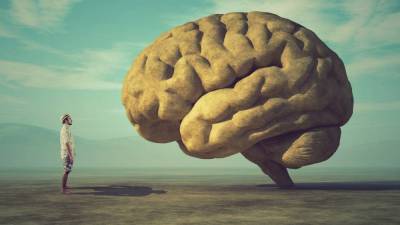 5 правил остроты ума: как стать умнее и прокачать мозг