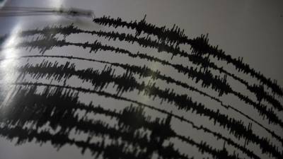 Сейсмологи США сообщили мощном землетрясении у берегов Новой Зеландии