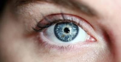 Учёные разработали киберсетчатку, способную вернуть зрение слепым