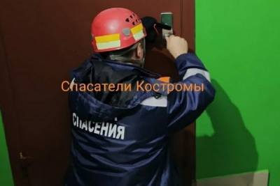 Костромские спасатели вскрыли железную дверь, чтобы выключить чайник