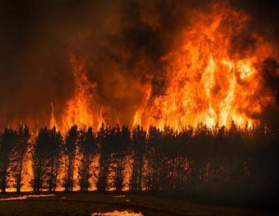 Почему человечество не может эффективно бороться к крупными природными пожарами