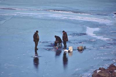 Семейный рыболовный фестиваль проходит на льду Псковского озера