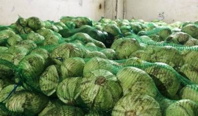 Свыше тонны овощей изъяли в школьных столовых Красноярска после отравления детей