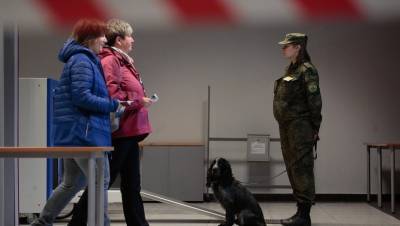 В Петербурге бомбу искали полсотни полицейских на 15 объектах