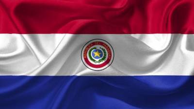 СМИ: в Парагвае в ходе антиправительственного протеста погиб один человек