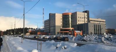 Власти Петрозаводска заставили подрядчика освободить ясени из-под снежных завалов