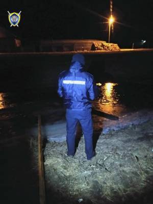 В Столинском районе провалился под лед и утонул семилетний мальчик