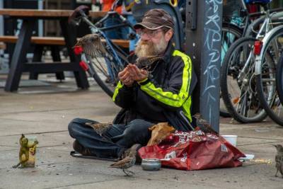 Бездомные в Германии: государственная помощь и условия жизни