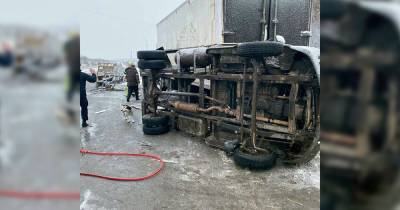 На Днепропетровщине столкнулись два грузовика: есть погибшие (ФОТО)