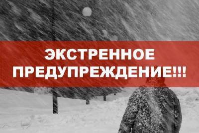 МЧС передало экстренное сообщение о метели в Смоленской области