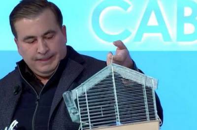 Элита Коррупция: Саакашвили притащил крысу на прямой эфир