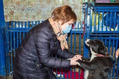 Елена Сорокина посетила приют для бездомных животных