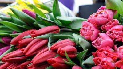Жириновский хочет запретить привозить цветы в РФ из других стран