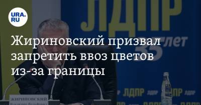 Жириновский призвал запретить ввоз цветов из-за границы. Ответ владелицы цветочной мастерской
