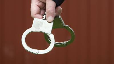 Полиция задержала троих подозреваемых в похищении и убийстве москвича