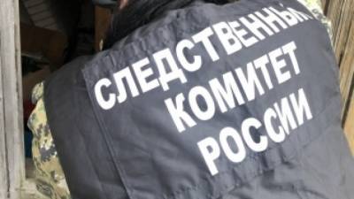 Правозащитник сообщил о нервном срыве у школьника, обвиняемого в убийстве семьи в Пермском крае
