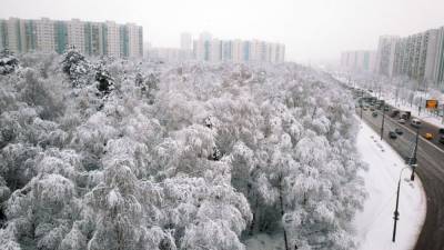 Москвичей предупредили о снежных заносах и порывистом ветре