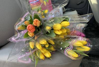 Гаишник с сюрпризом: как женщинам Соснового Бора дарили тюльпаны посреди дороги