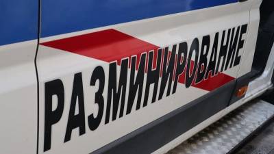 В полиции рассказали, что нашли взрывотехники у 15-этажки в Смоленске