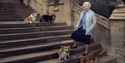 Королеве Великобритании подарили двух щенков корги