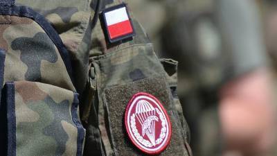 "Поражение" Польши в войне с Россией должно стать сигналом для Варшавы