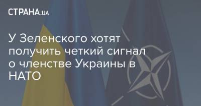 У Зеленского хотят получить четкий сигнал о членстве Украины в НАТО