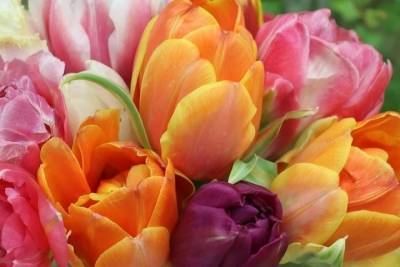 Дарите девушкам цветы: как сейчас женщины относятся к цветам на 8 марта
