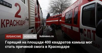 Горящий на площади 400 квадратов камыш мог стать причиной смога в Краснодаре